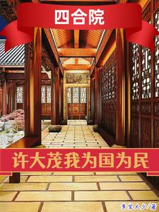 四合院许大茂为国为民